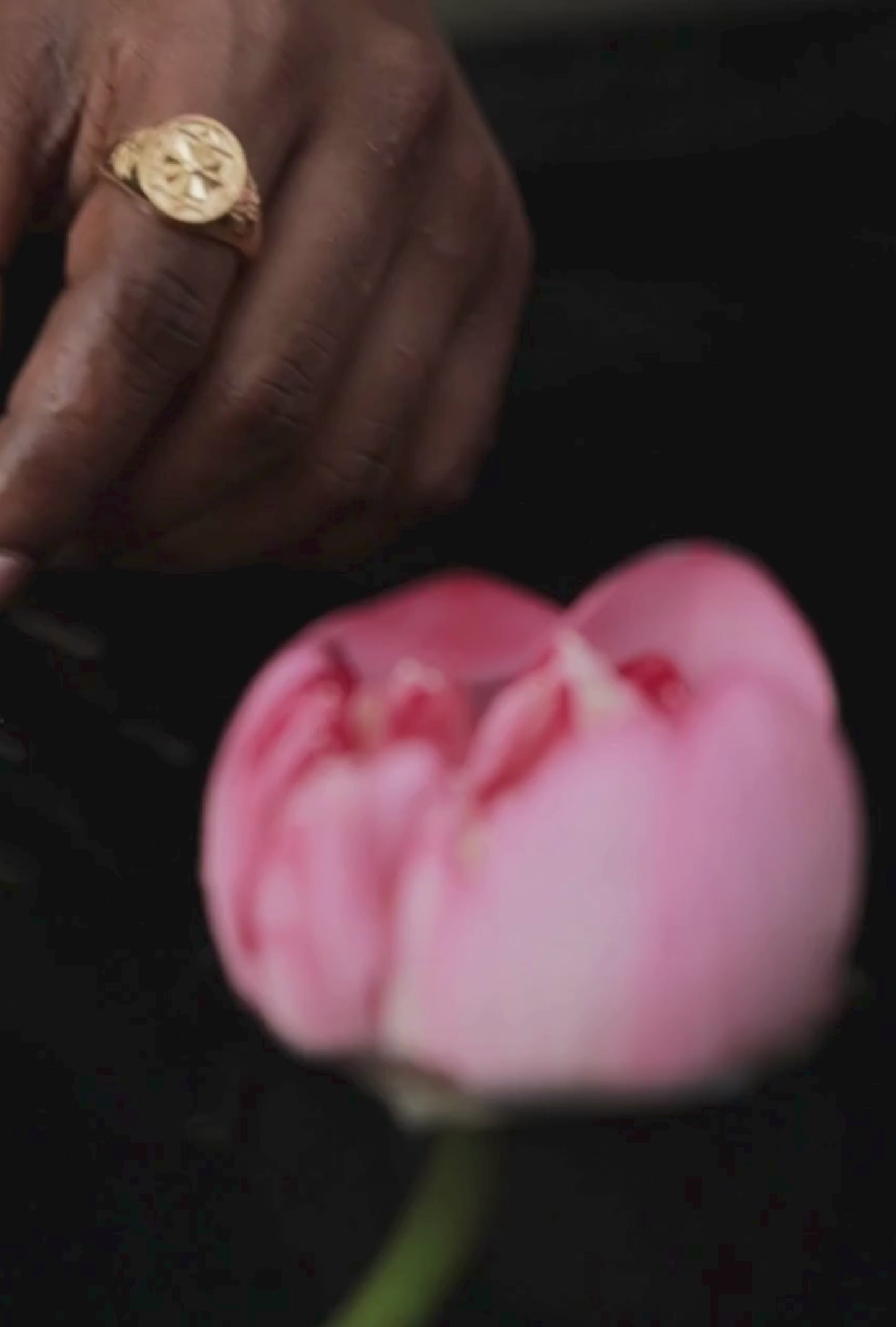 Giri Geometric Onam Signet Ring